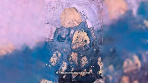 Tiempos Literarios, lavia Sanches "Agua uerte"