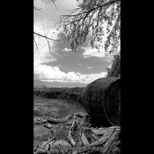 Tiempos Literarios - Eduardo Italiano - 12