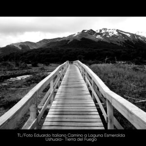 Tiempos Literarios - Eduardo Italiano - 10