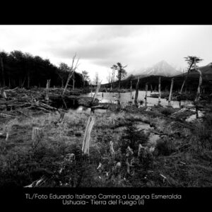 Tiempos Literarios - Eduardo Italiano - 11