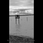 Tiempos Literarios - Eduardo Italiano - 06