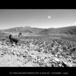 Tiempos Literarios - Eduardo Italiano - 05