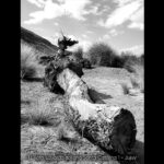 Tiempos Literarios - Eduardo Italiano - 04