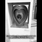 Mujer, Ciclos y Metamorfosis 03- TL 2025