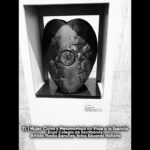 Mujer, Ciclos y Metamorfosis 04- TL 2025