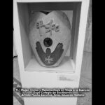 Mujer, Ciclos y Metamorfosis 05- TL 2025