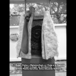 Mujer, Ciclos y Metamorfosis 06 - TL 2025