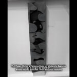 Mujer, Ciclos y Metamorfosis 07- TL 2025