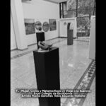 Mujer, Ciclos y Metamorfosis 09- TL 2025